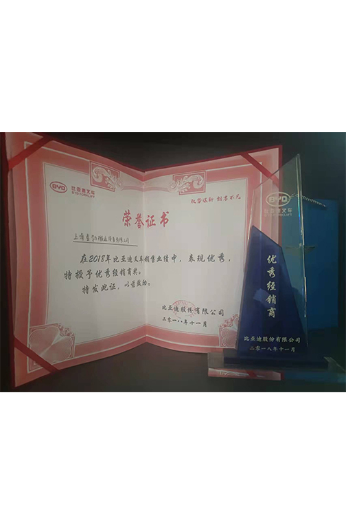  普陀区比亚迪2018优秀经销商