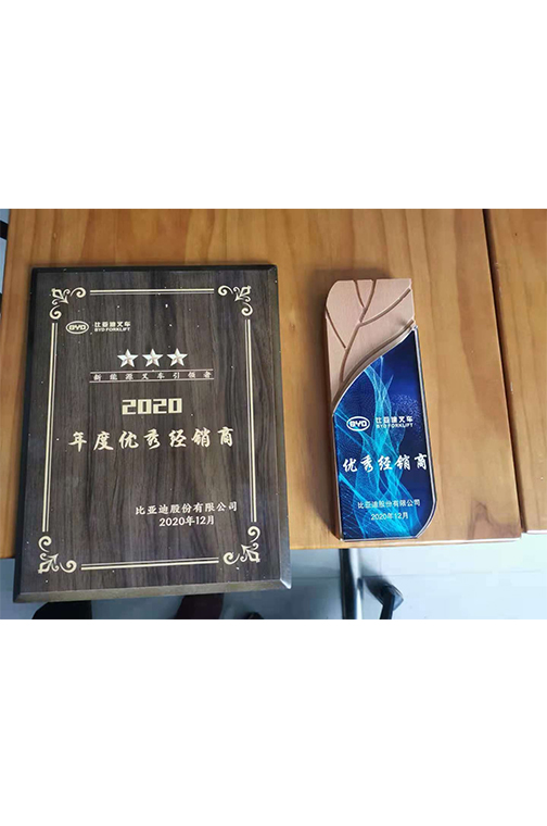  普陀区比亚迪2020优秀经销商
